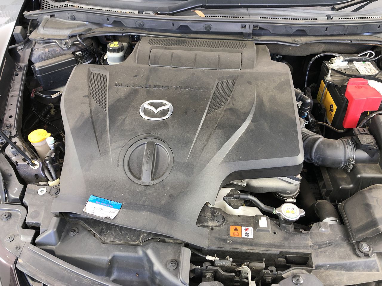 Pioneer Road Cabernet Sauvignon 2020 (6x 750mL) Langhorne Creek