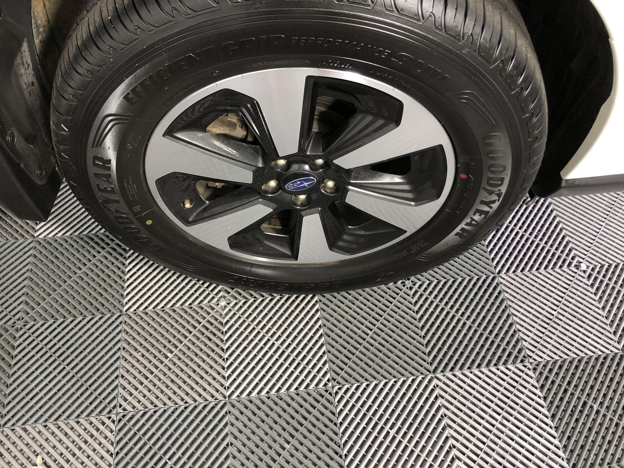 Wolf Blass Yellow Label Shiraz (6x 750mL). SA