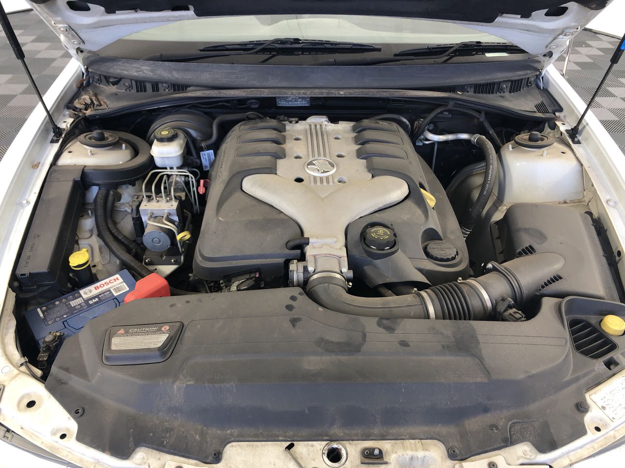 Elefante `El Valiente` Organic Tempranillo 2023 (6x 750mL) Coonawarra