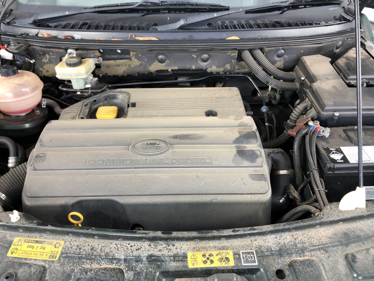 22KGF/Italy Stamped Solid Yellow Gold Filled Chain and Pendant-60cm