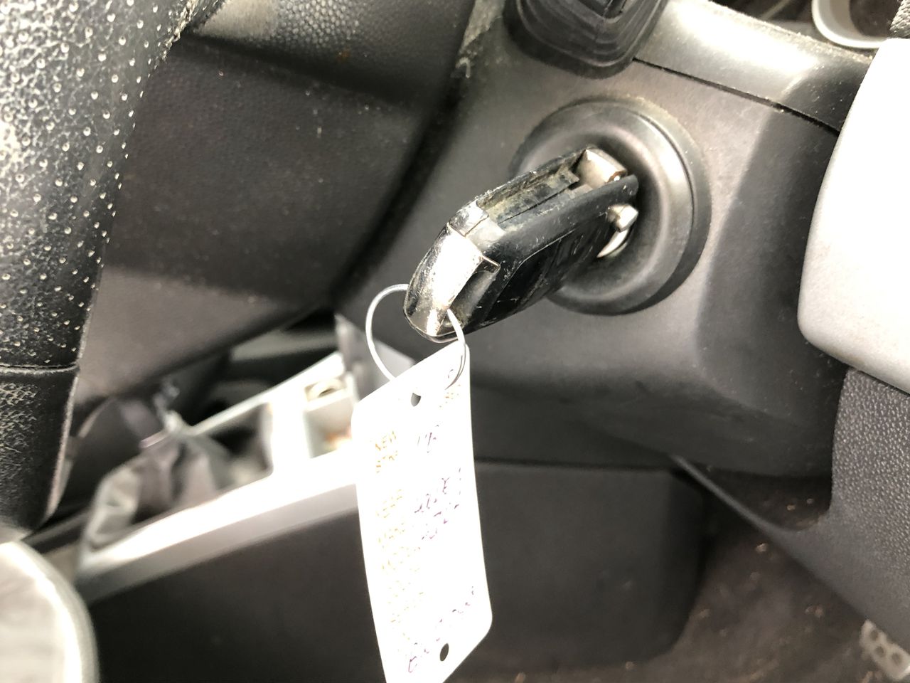 Casella Limited Release Cleanskin Shiraz 2012 (12x 750mL) McLaren Vale