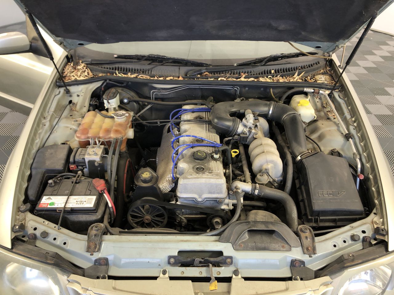 1200 Thread Count Egyptian Cotton Flat Sheet | Black Charcoal | King Single