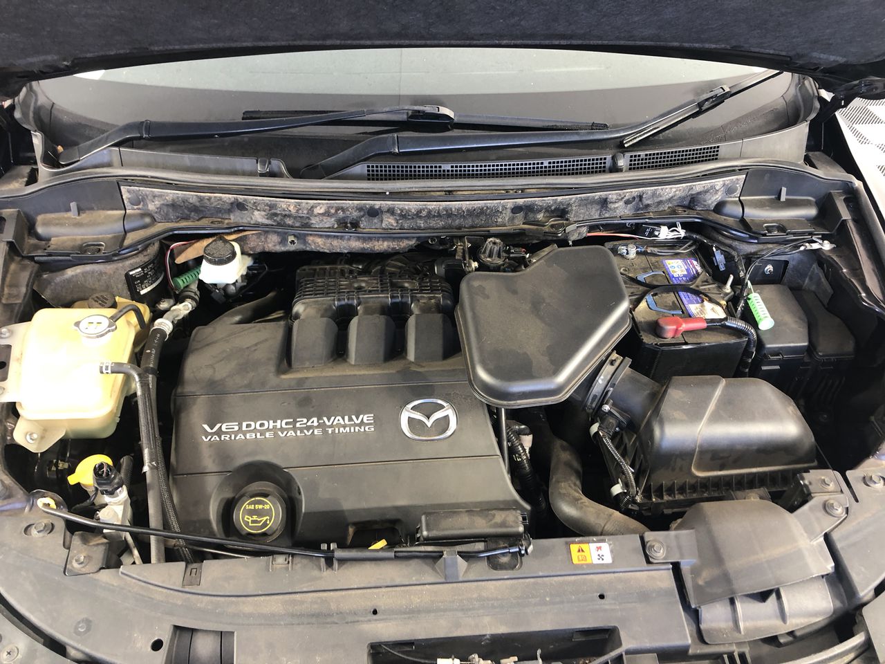 Baby Doll Sparkling Rose NV (6x 750mL), NZ.