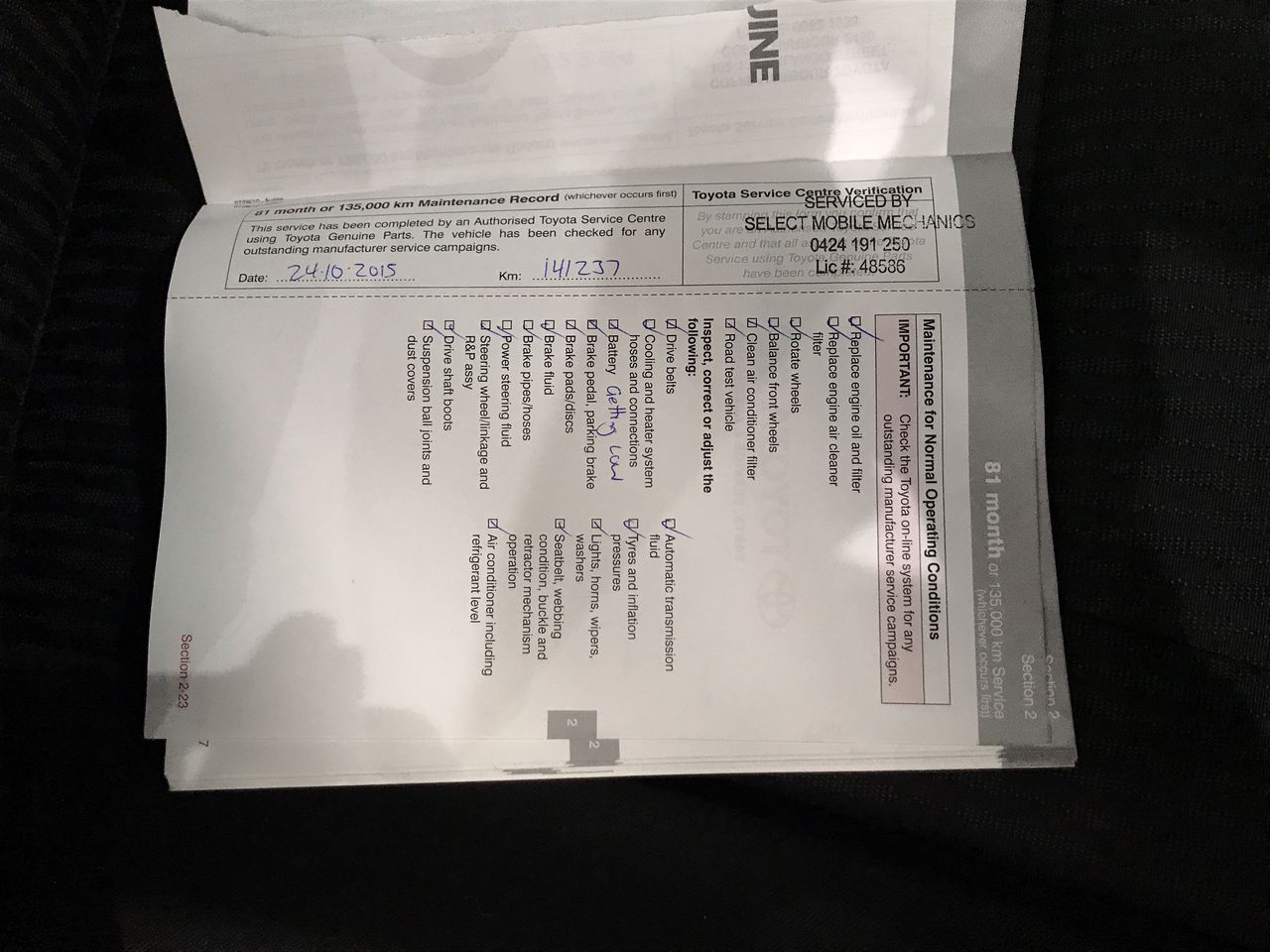 Rhodium Plated 7 Ring Lucky Charm Necklace