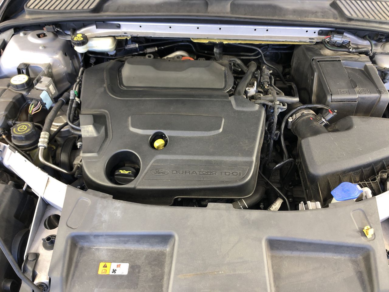 2 Monkeys Pinot Grigio 2025 (12x 750mL) SA