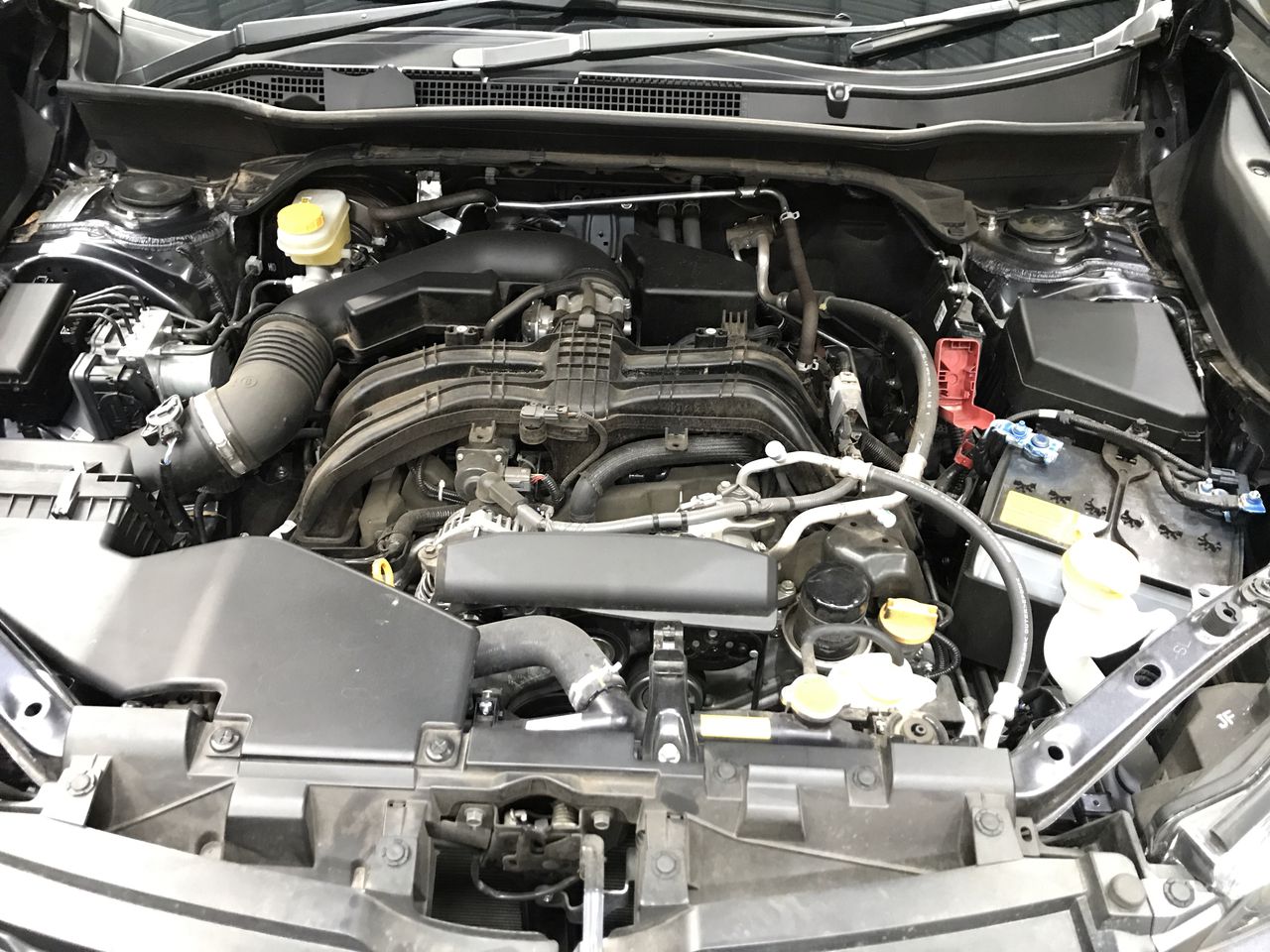 1/100 Scottdale gold bar