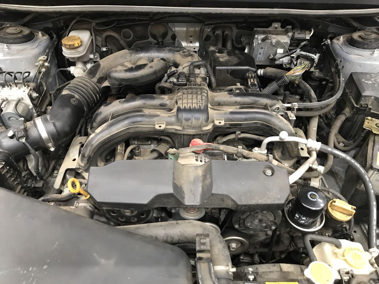 Vial full of Gold Leaf/Flake x 3