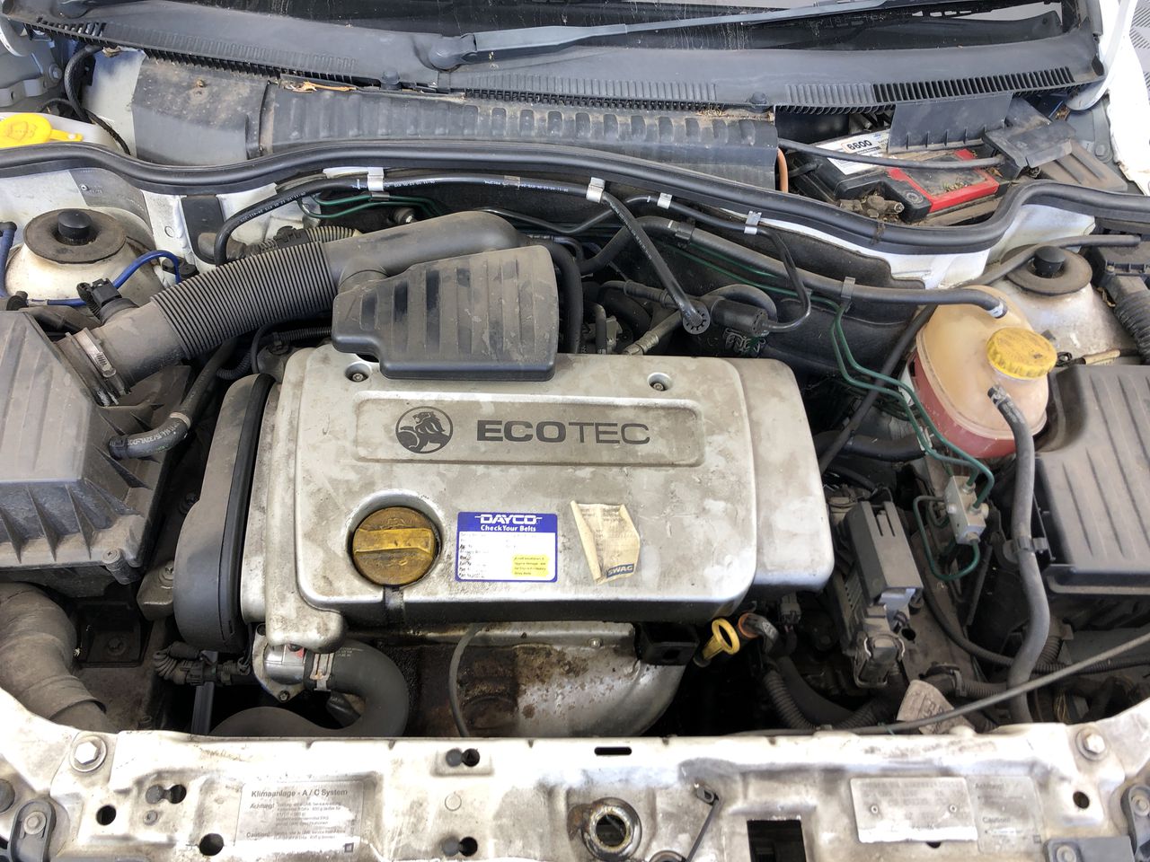 2022 Queen Elizabeth Platinum Jubilee Gold plated Medallion