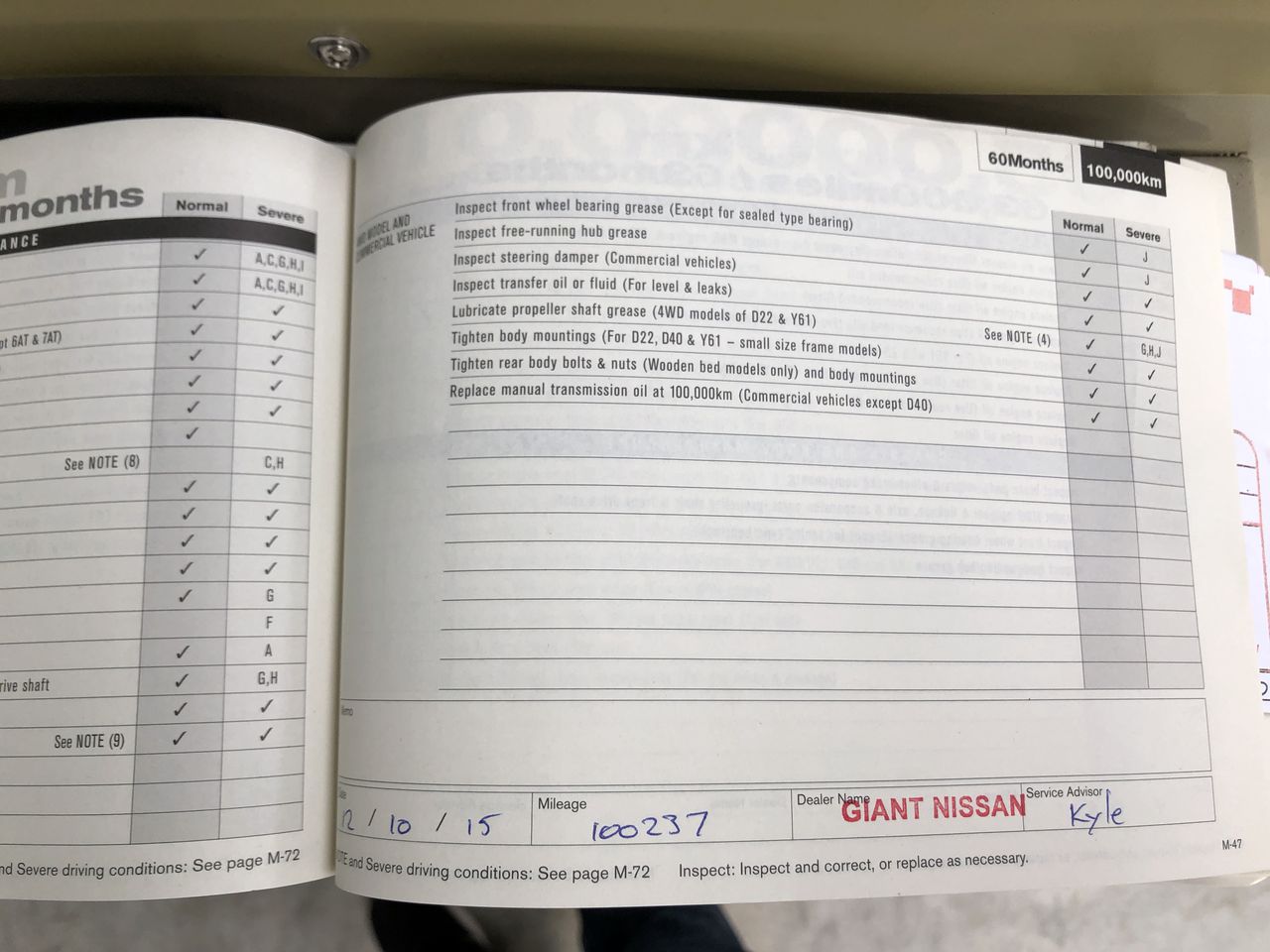 Designer Owl Ring in Gold - US Size 8