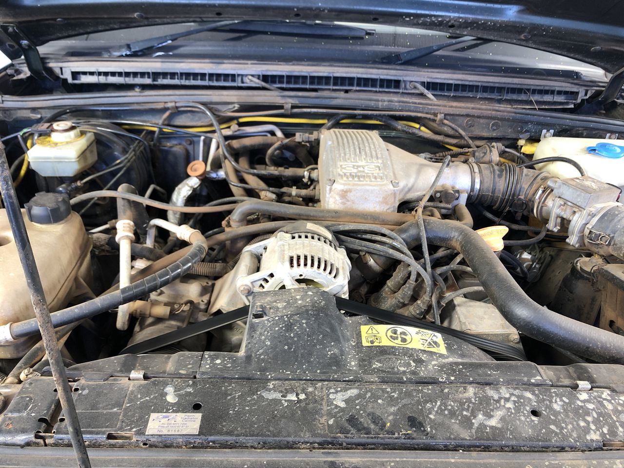 Designer Simulated Diamond Stud Earrings in Rose