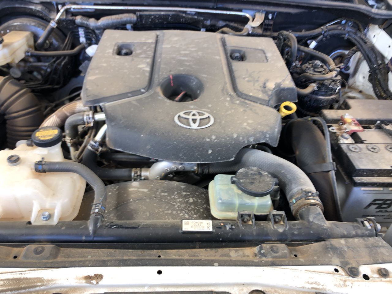 2 x SABA Women's Fitted Shirt, Size 10, 80% Cotton, Black, AG23900.