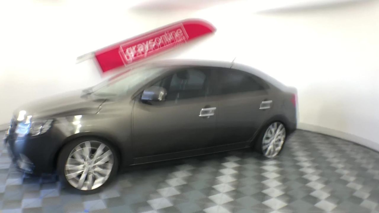 Drop Earrings in Silver