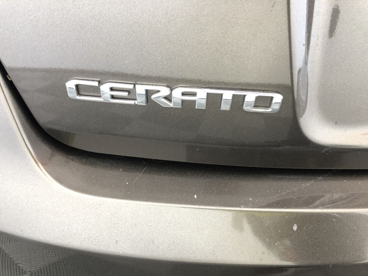 Classic Silver Plated Curb Chain Bracelet with Lobster Clasp - DEMO