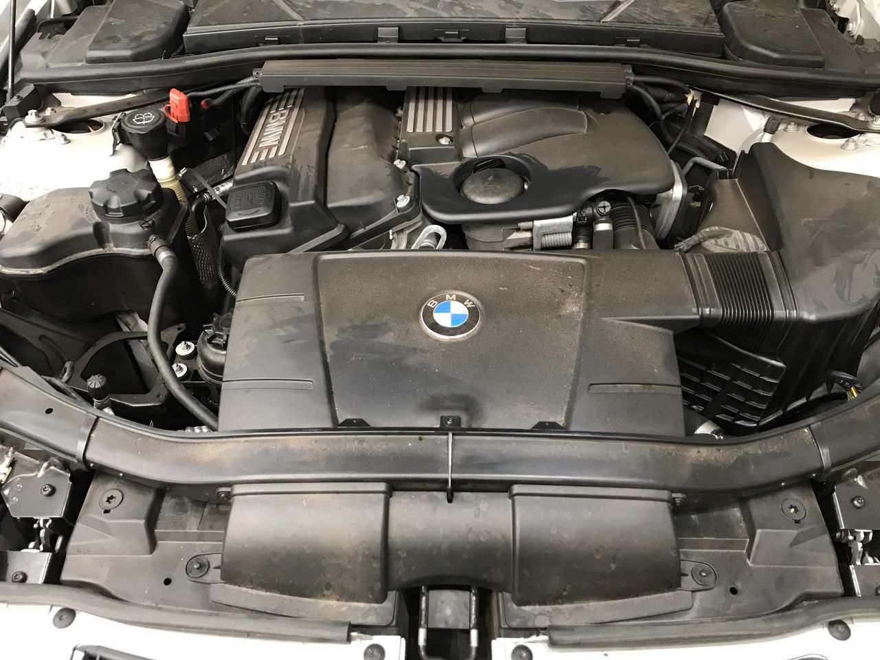 The Drover Pink Moscato 2023 (6x 750mL) NSW