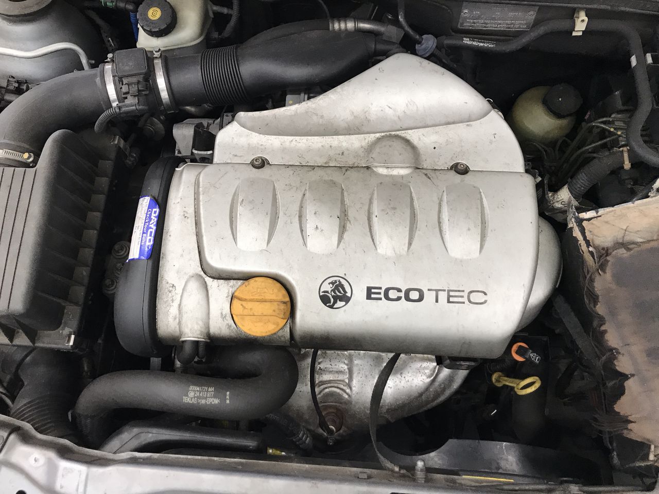 Elephant in the Room Chardonnay  (6x 750mL). (252626-1266)