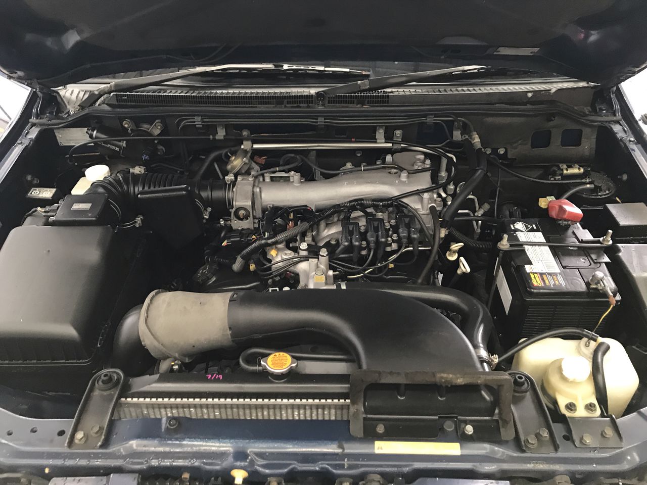 White Pearls Tiger Eye Gemstone Jewellery Jewellery Set