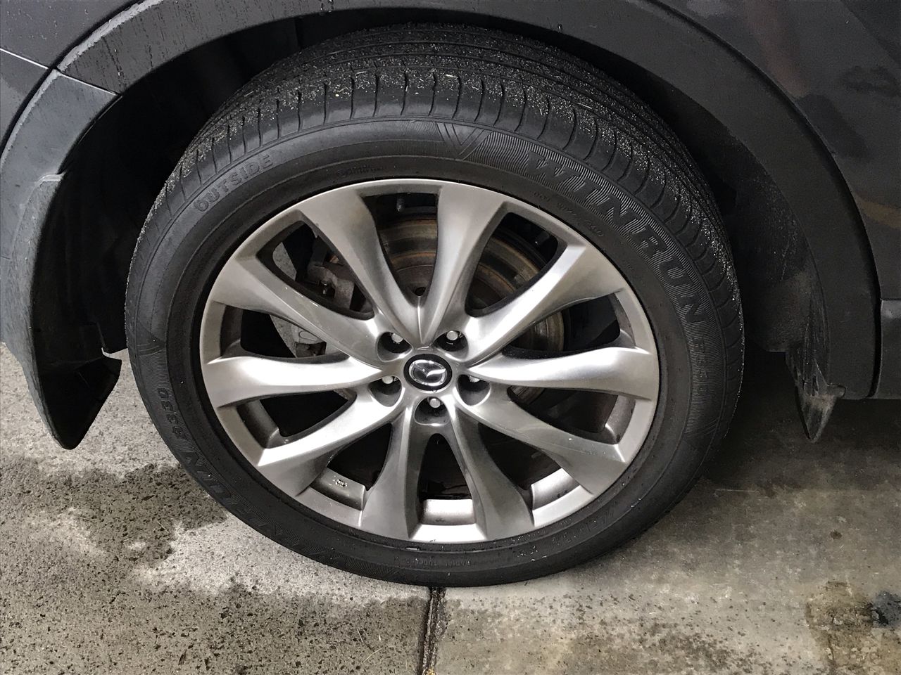 Stalking Horse Pinot Grigio 2025 (12x 750mL) Langhorne Creek