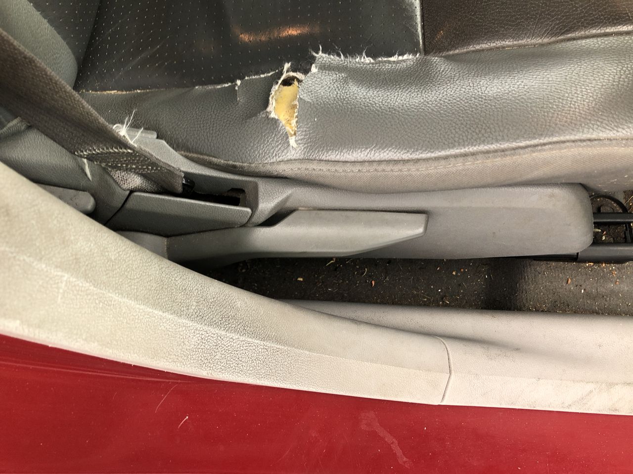 Haslemere Rose 2023 (12x 750mL) Eden Valley