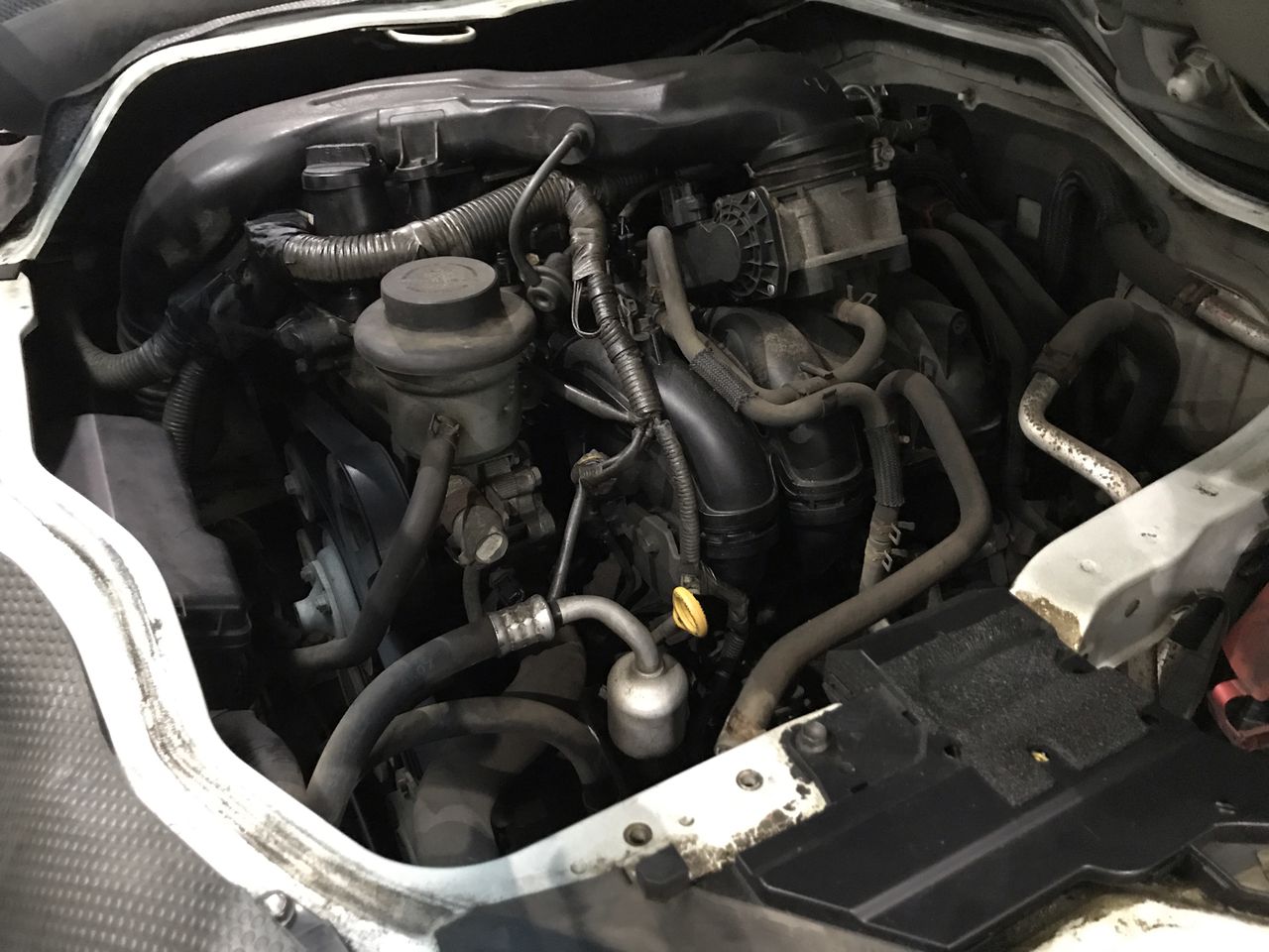 Echo Bay Cabernet Merlot 2024 (12x 750mL) SEA