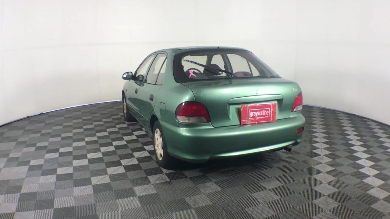 HAKUNA PETS Black Glass Patio Pet Door for Sliding Doors, Large, Adjustable