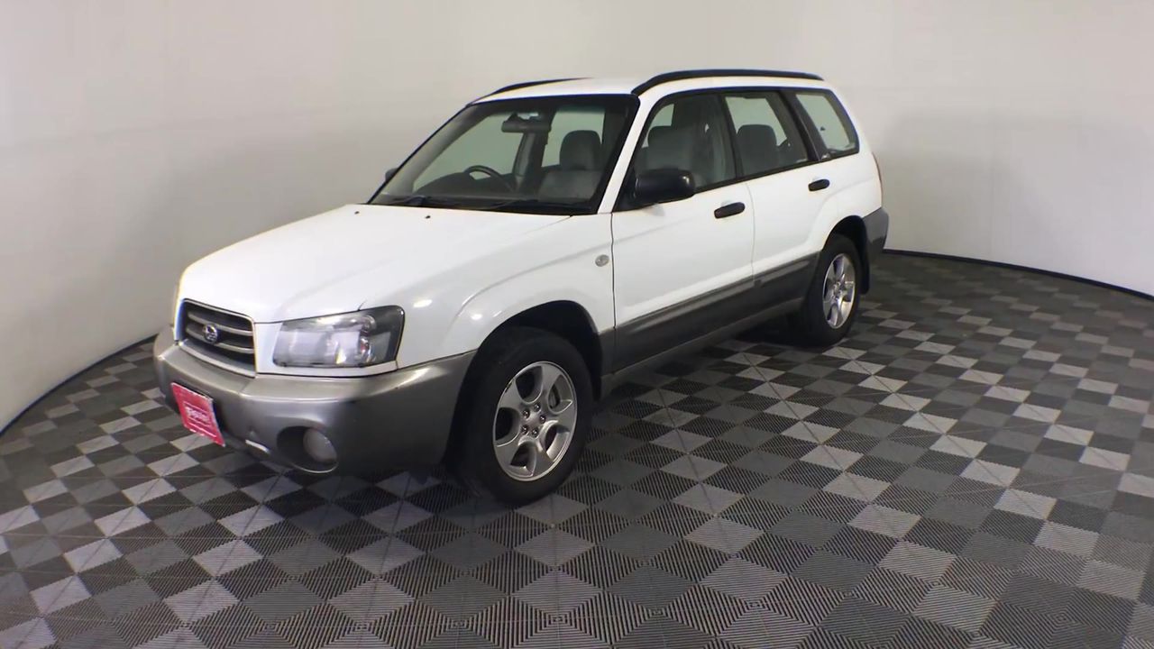 10mm Natural Amethyst & Nugget Pearl with Gold Trim Pendant Necklace