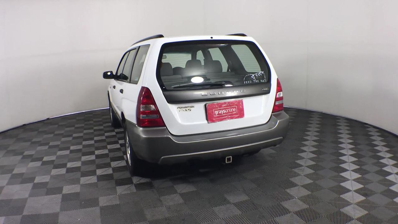 8mm Turquoise & Blister Pearl with Gold Trimming Beaded Necklace