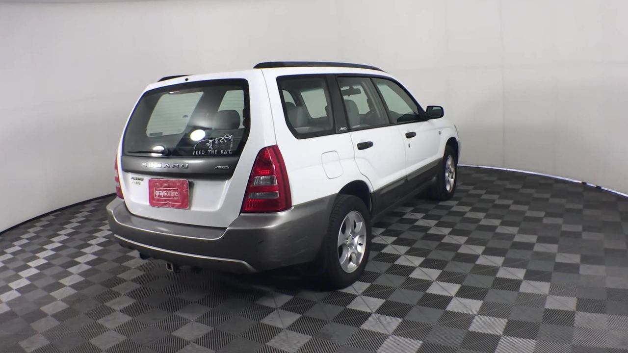 8mm Amazonite & Blister Pearl with Gold Trimming Beaded Necklace