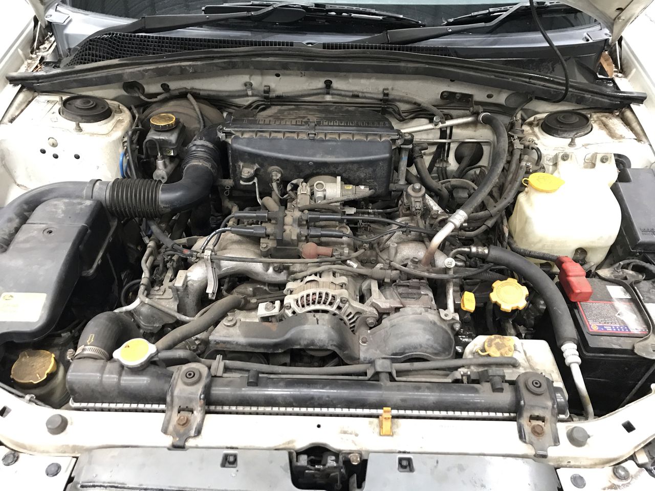 8mm Rose Quartz & Blister Pearl with Rhinestone Beaded Necklace