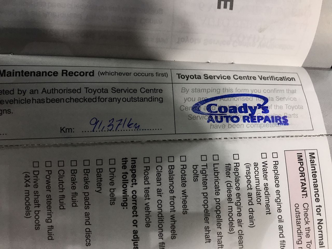 Designer Simulated Opal Drop Earrings in Rose