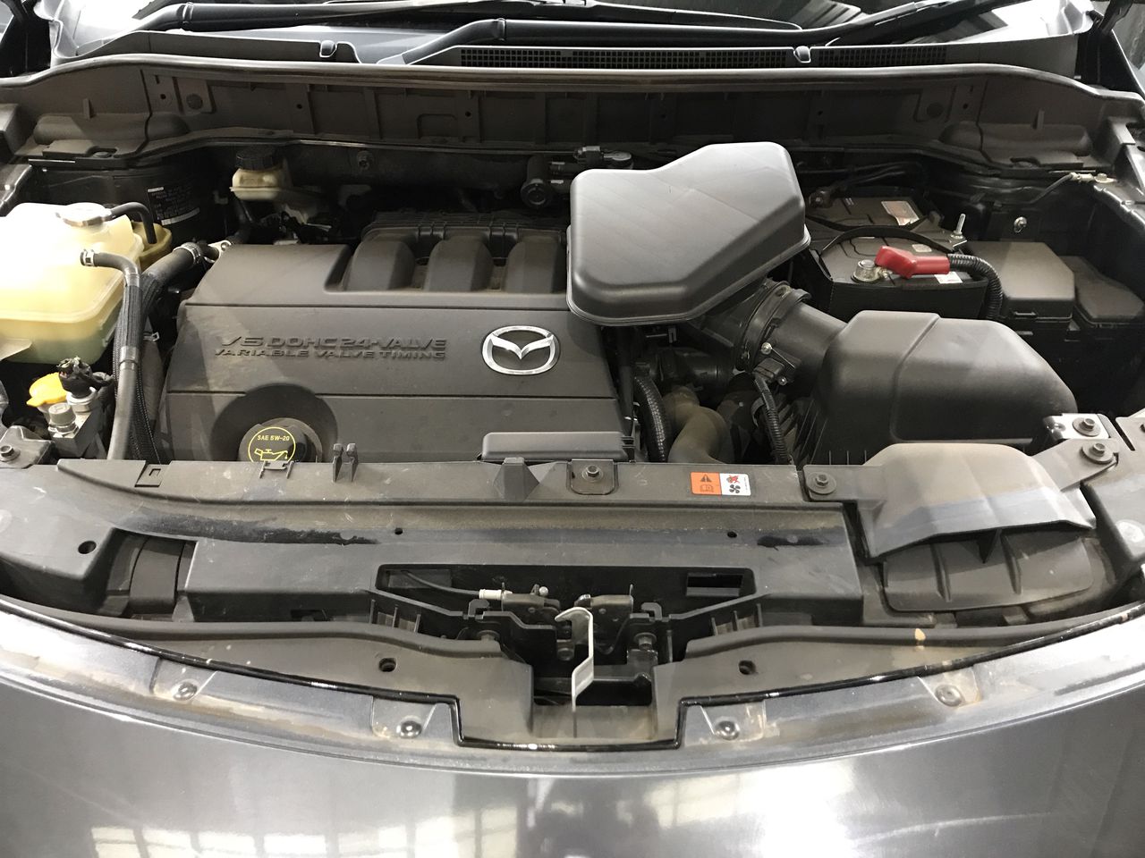 AU 7 SET Souvenir Dollar Collection 24k Gold Plated Sleeved Notes COA