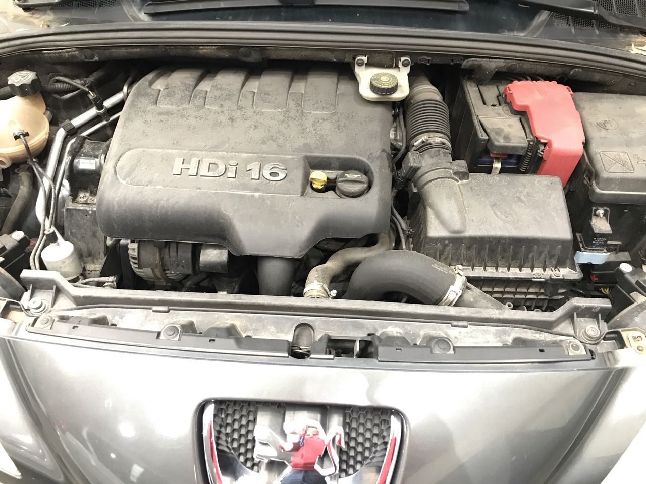 Byrne Estate Grown Shiraz 2023 (12x 750mL) SA