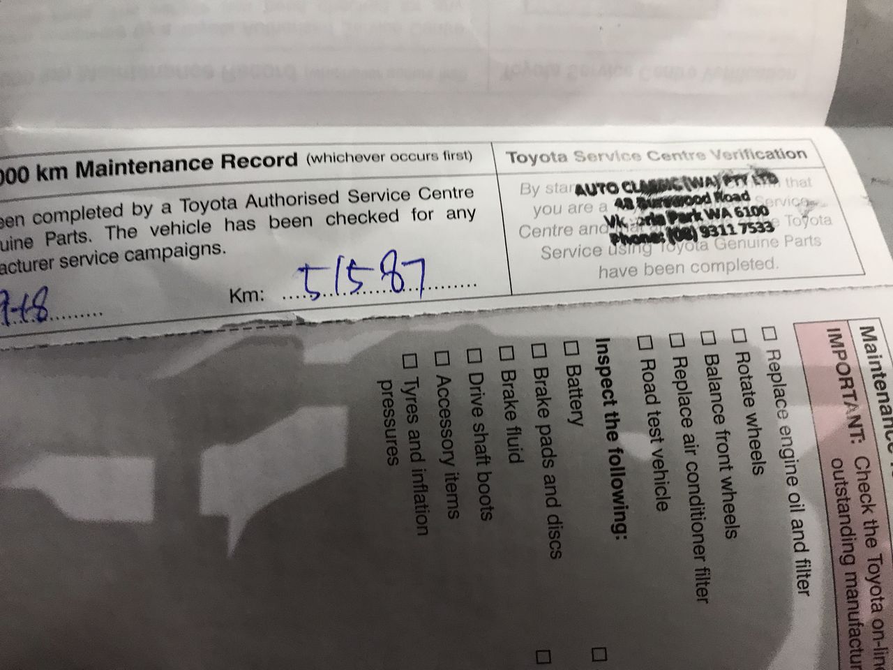 9K YELLOW GOLD TURQUOISE PETAL NECKLACE 41-43cm