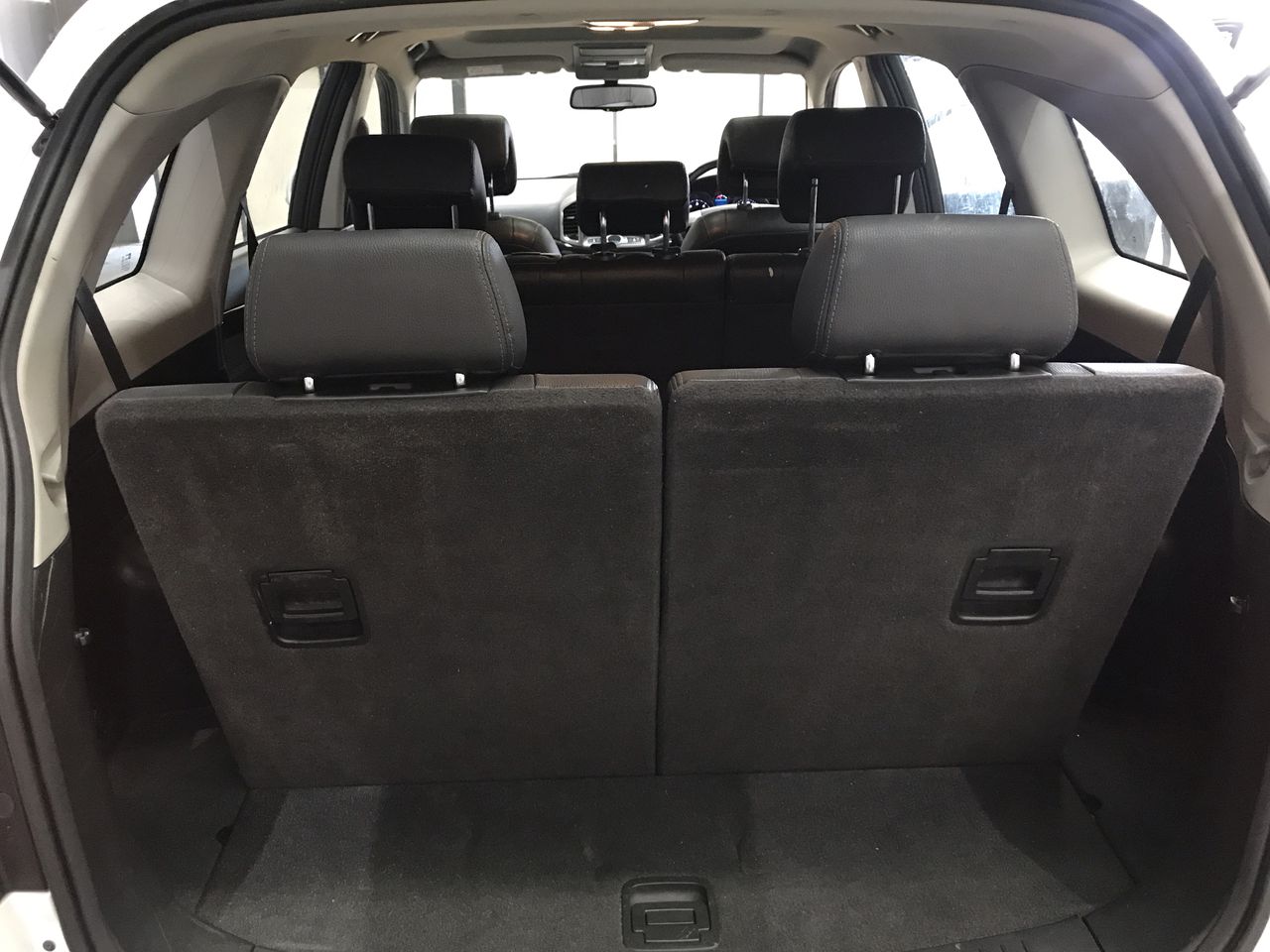 Stalking Horse Shiraz 2021 (12x 750mL) Langhorne Creek, SA