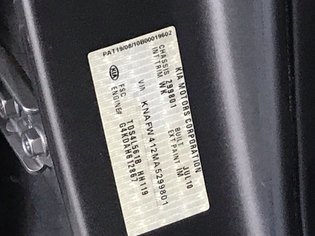 SPECSAVERS Fin Sun Rx Glasses