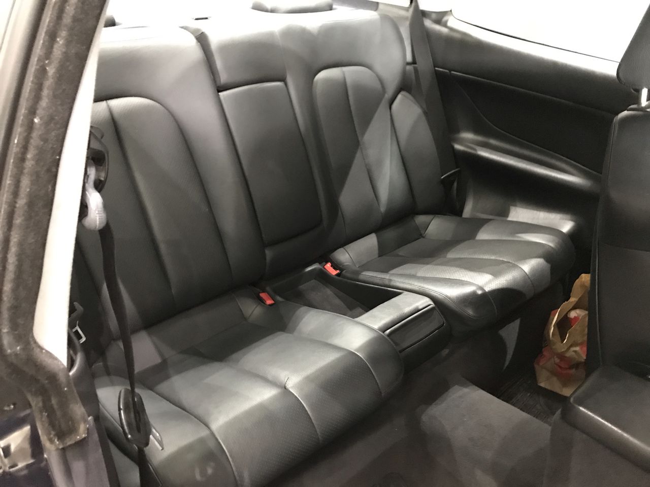 TARONGA ZOO Hand Blown Clear Glass Art Tiger