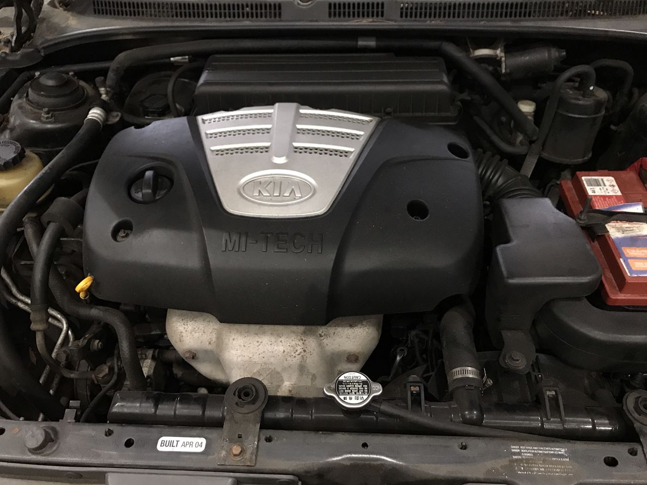 Next Crop Greco 2022 (12x 750mL) Langhorne Creek