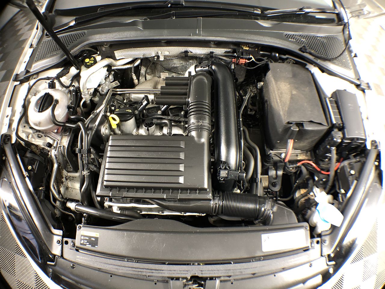 Classic Stainless Steel Feather Stud Earrings - Yellow