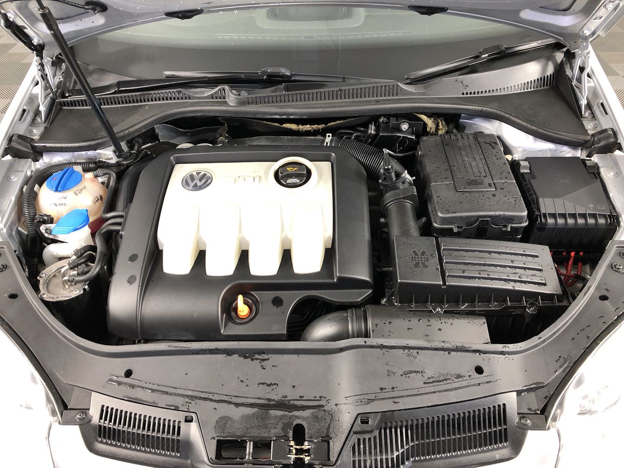 Pioneers First Patch Sauvignon Blanc 2023 (12x 750mL) SA