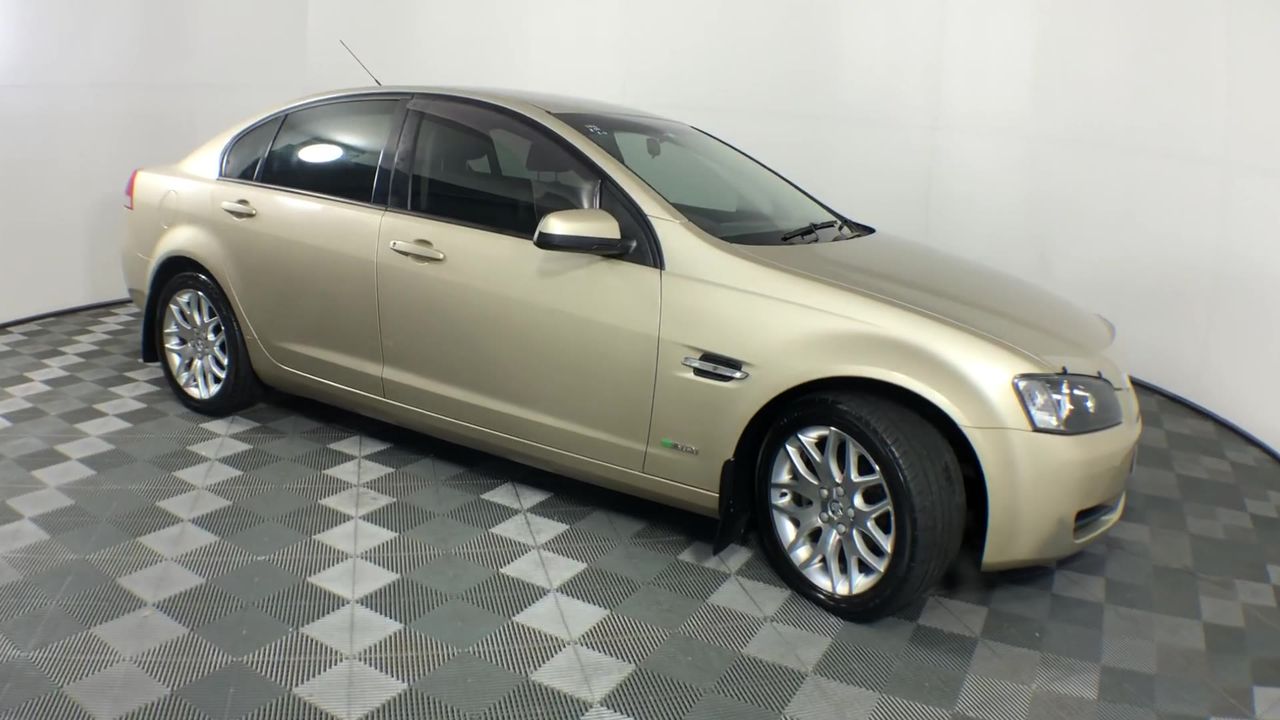 NEW!! LIMITED 2024 BLUEY DOLLARBUCK & BINGO $1 DOLLAR UNC Coin 2 CARD SET