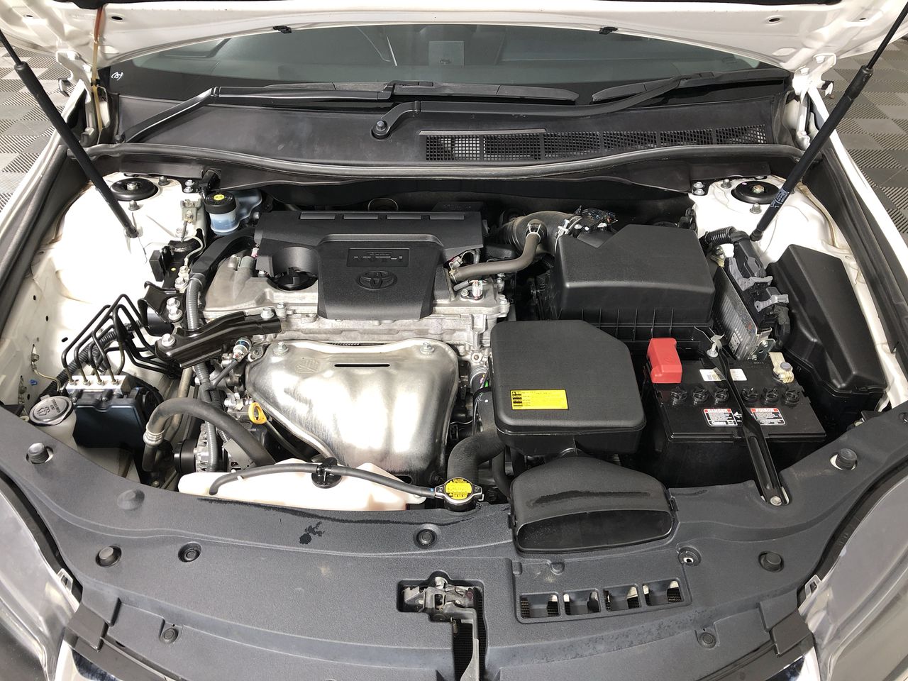 5 pcs/lot New Australia Gold Banknote Cards Coloured $100 Gold Plated