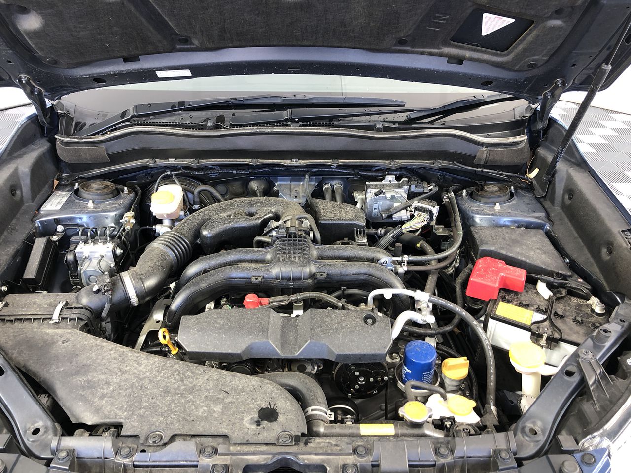 Haslemere Rose 2023 (12x 750mL) Eden Valley