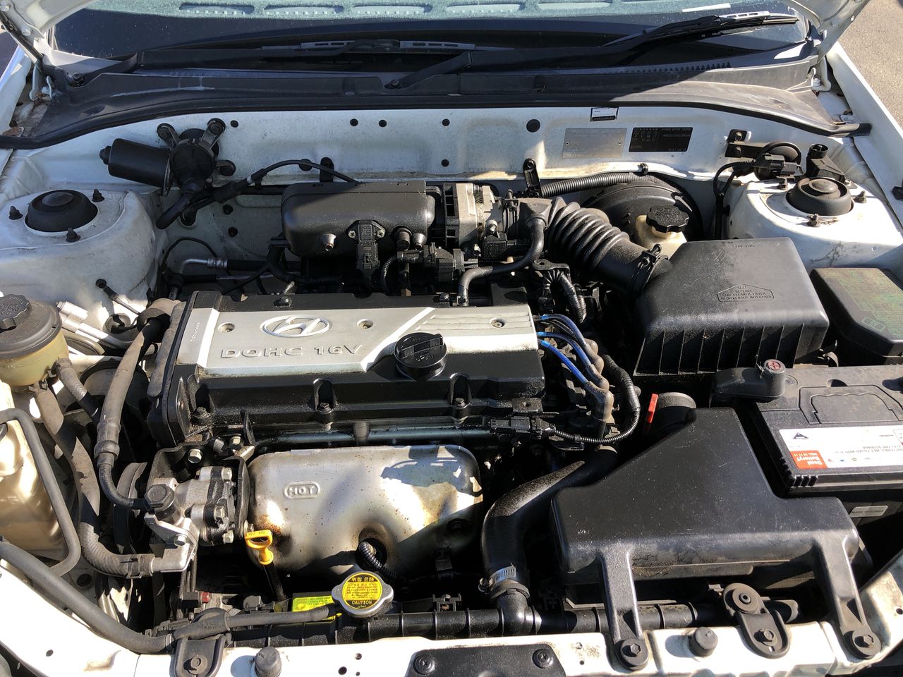 Casella Limited Release Cleanskin Shiraz 2012 (12x 750mL) McLaren Vale