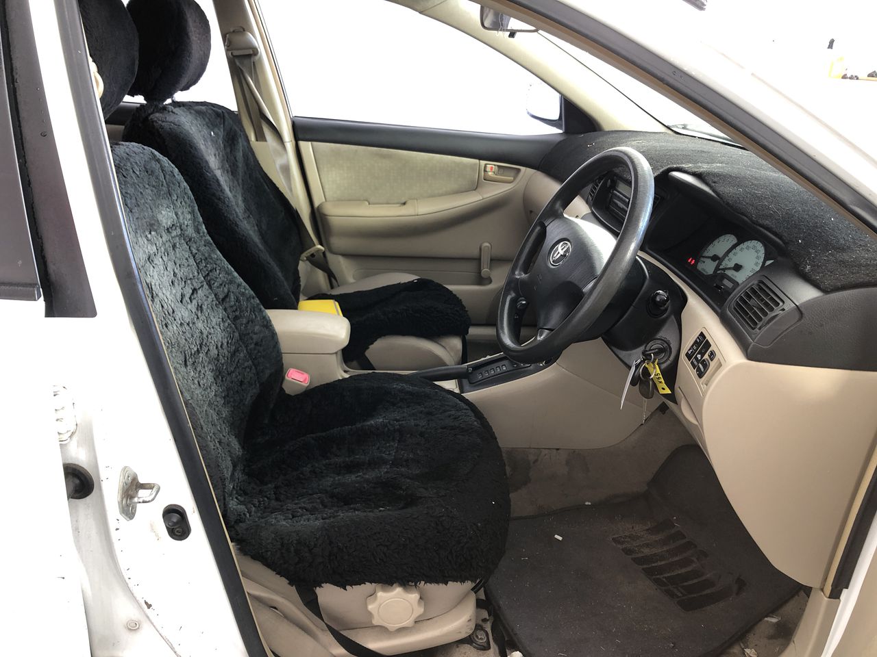 Mercator Glendale Ceiling Fan - New Unboxing