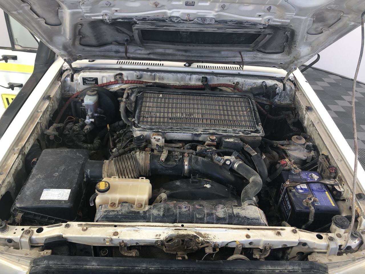 Serperior ex English holo BLK EN 003/086 grass Pokémon.