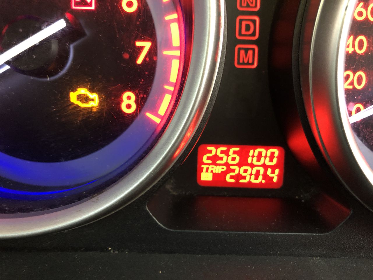 Thomson Estate Clare Valley Merlot 2023 (12x 750mL) SA