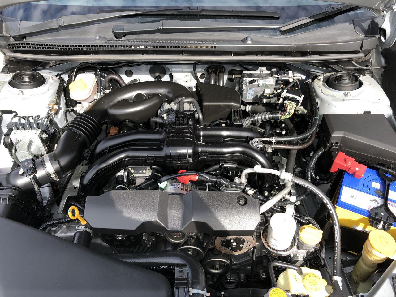 Napkins, towels and straws