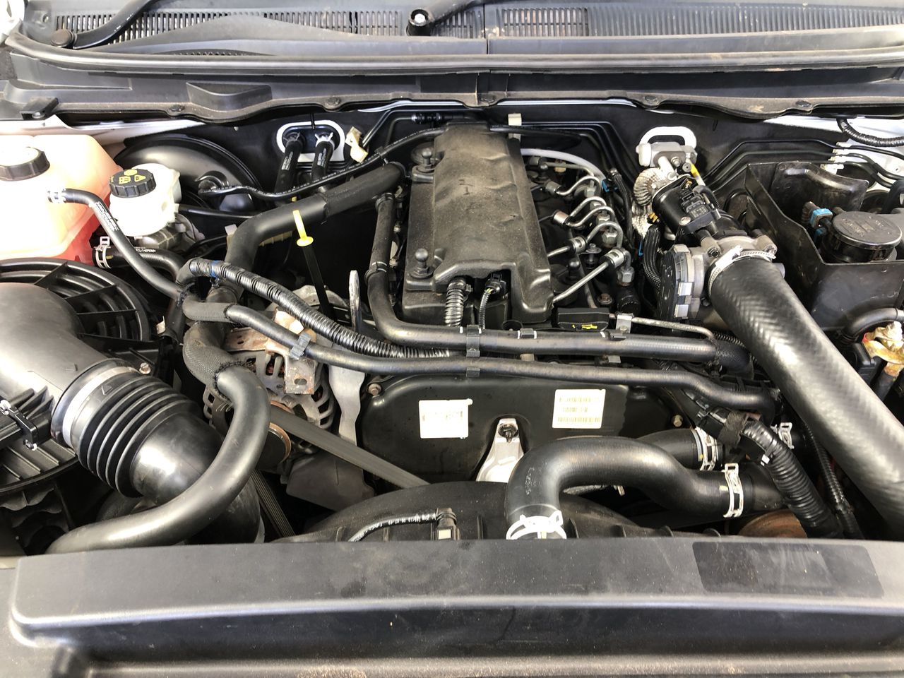 Stalking Horse Riesling 2025 (12x 750mL) Clare Valley