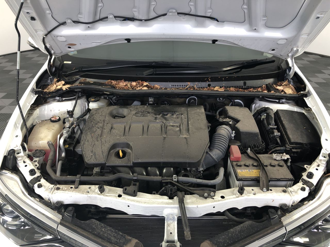 MCFARLANE House of The Dragon/Game of Thrones Collector Box - Viserys Targa