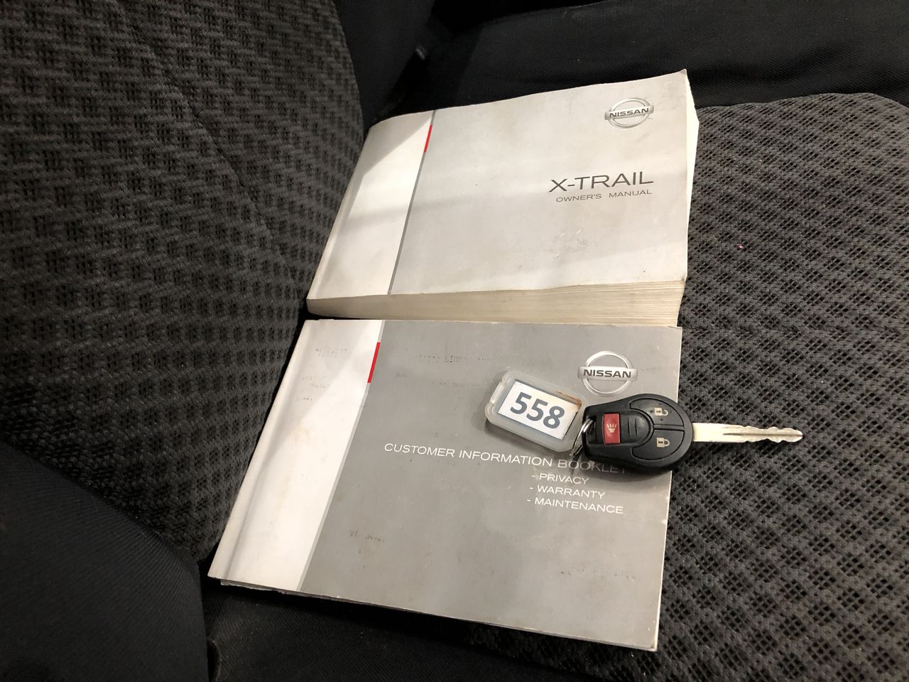 Pixel Pets, Dalmatian, Interactive Digital Pet Dog.