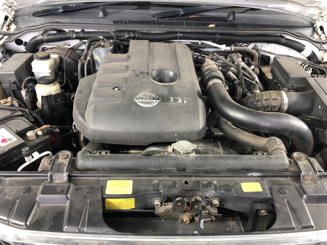 complete set of 8 Rare 2014 5 gram Certified Animal Series
T